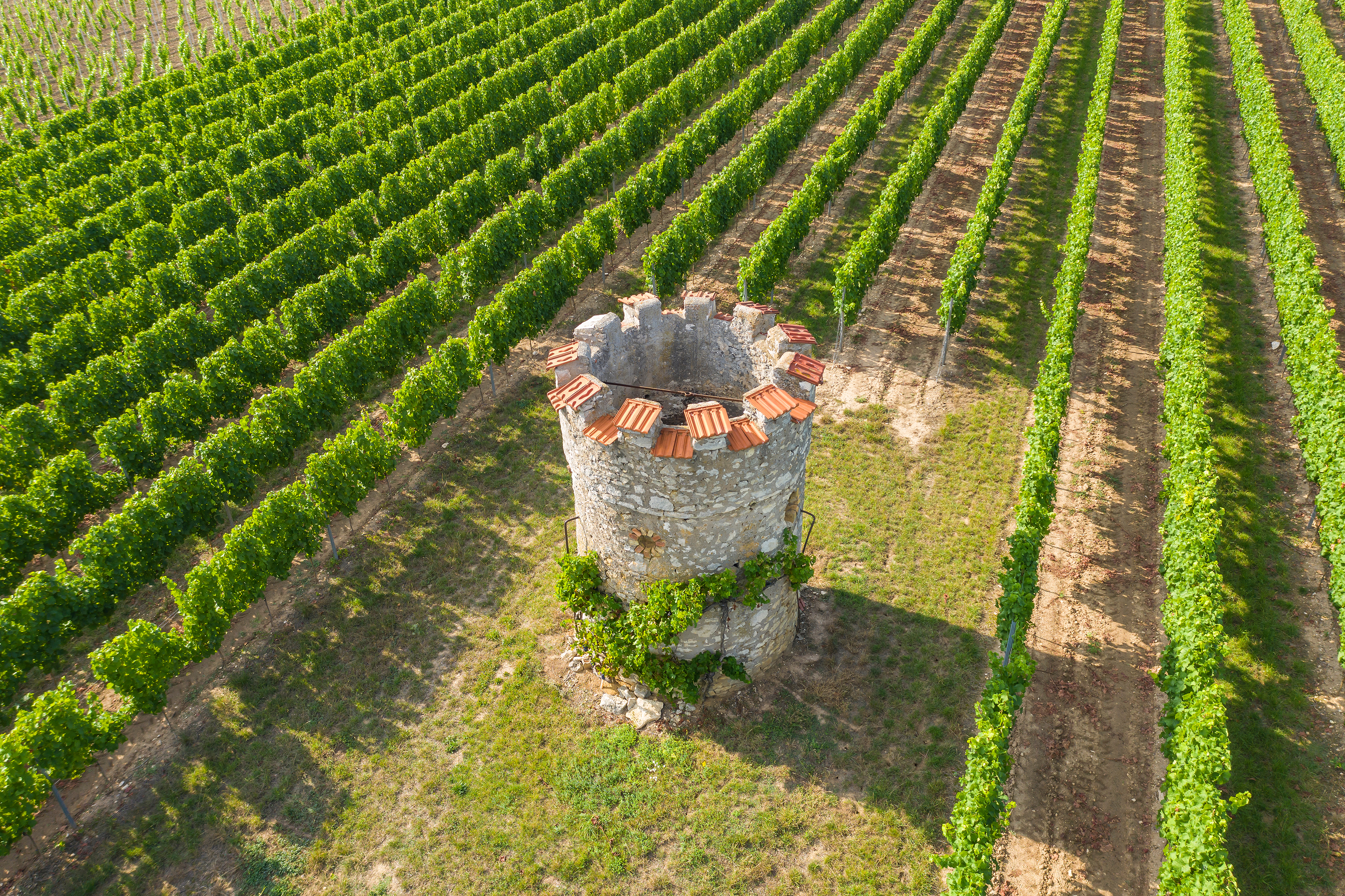 Ein dekoratives Weinbergshäuschen aus dem Jahr 1905, gelegen in der Flur „Auf der Hühnerscherre“ südöstlich von Ober-Flörsheim.